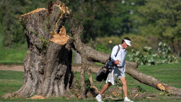 Federal judge orders Trump administration to halt work for a day on historic DC golf course
