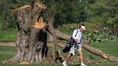 Judges bristle as they are forced to decide the details of Trump’s Washington makeover