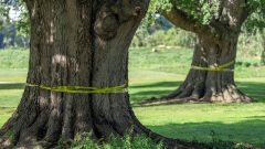 Judge grills Trump administration over plans to overhaul Washington golf course
