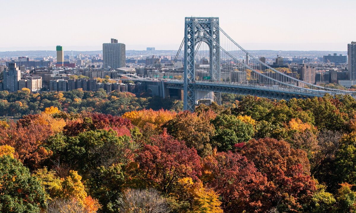Driver is fatally shot while crossing the George Washington Bridge