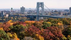 Driver is fatally shot while crossing the George Washington Bridge