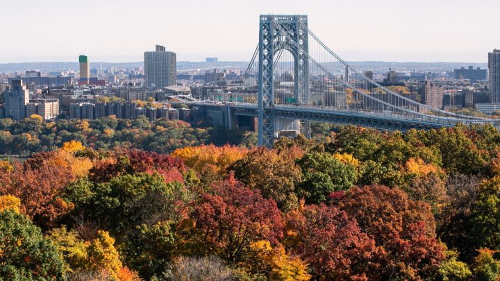 Driver is fatally shot while crossing the George Washington Bridge