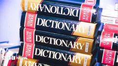 'Maxxing' selected as Dictionary.com word of the year