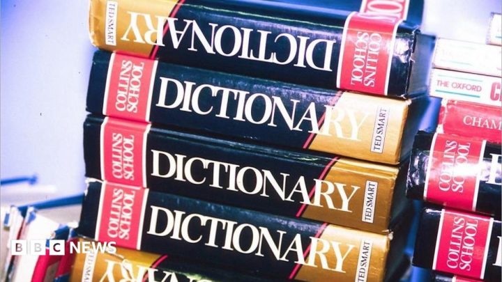 'Maxxing' selected as Dictionary.com word of the year