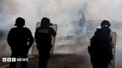 Teenager's hand blown off during confrontation between France school protesters and police