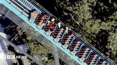 What we know about the man who died falling from a Six Flags rollercoaster
