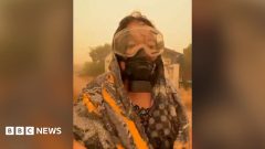 'Nowhere to escape' – Indonesians share footage of orange haze blanketing towns