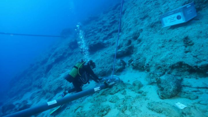 World’s oldest shipwreck found off coast of Turkiye
