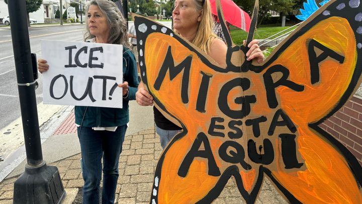 ICE tactics spark debate before pivotal US midterm elections