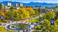 Fully-Funded Master’s in Biochemistry Scholarship in Canada