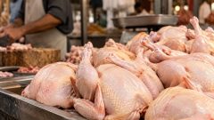 Chicken Prices Hit Rs. 700 per Kg in Quetta