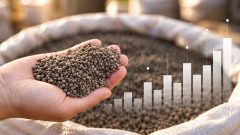 DAP Shortfall Looms for Rabi Season Despite Healthy Urea Stocks
