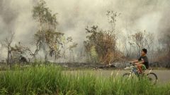 Super El Nino to Turn 2026 into Hottest Year Ever