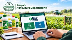How to Apply for a Pesticide Dealer License in Punjab