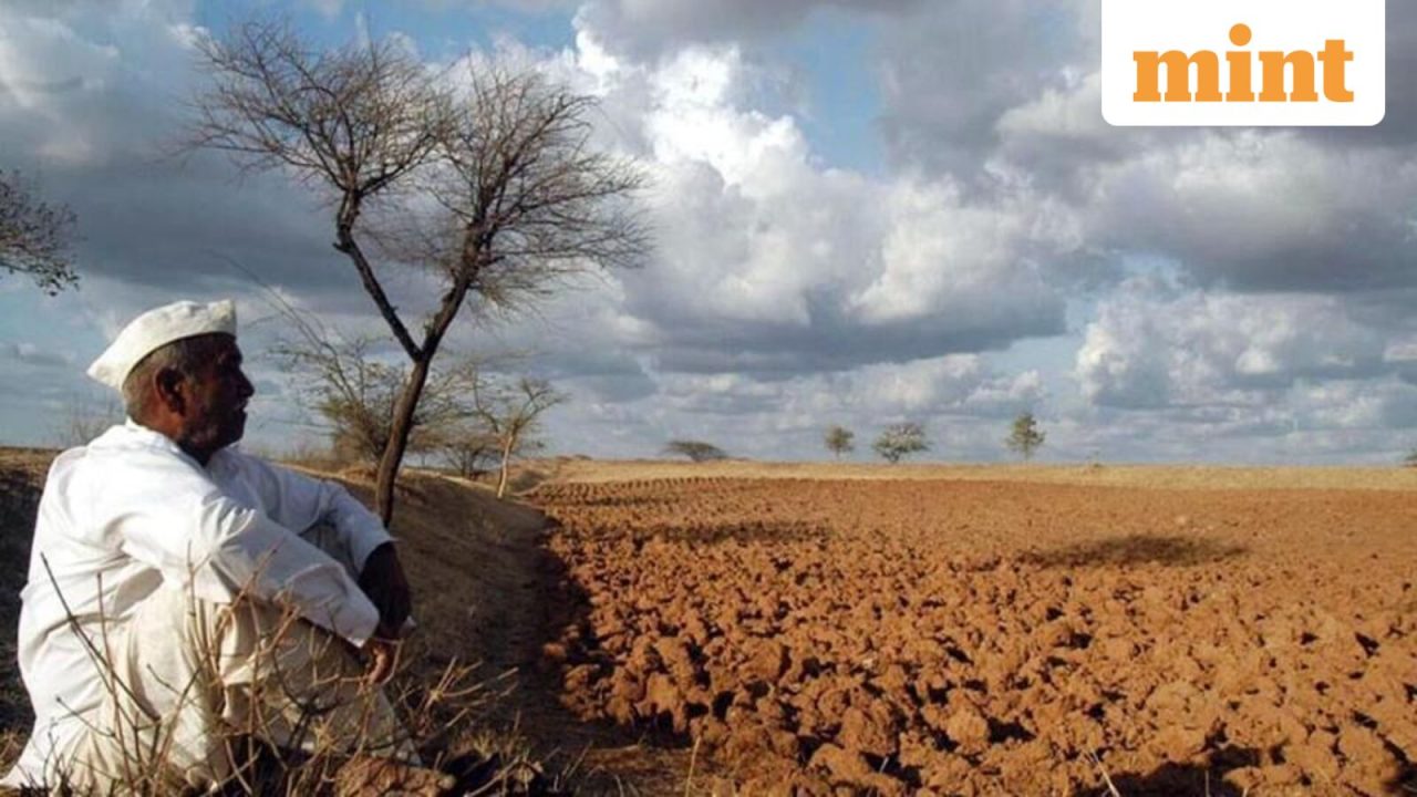 The week in charts: Lower foodgrain target, deficient rains, cheaper stocks