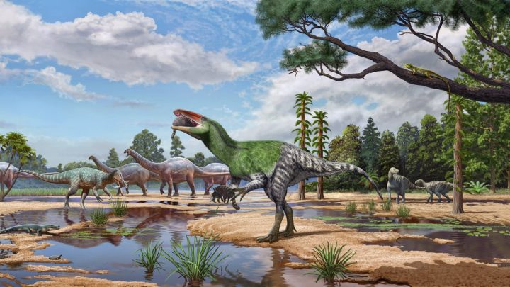 Forgotten Fossil Reveals Never Seen Before Dinosaur Species