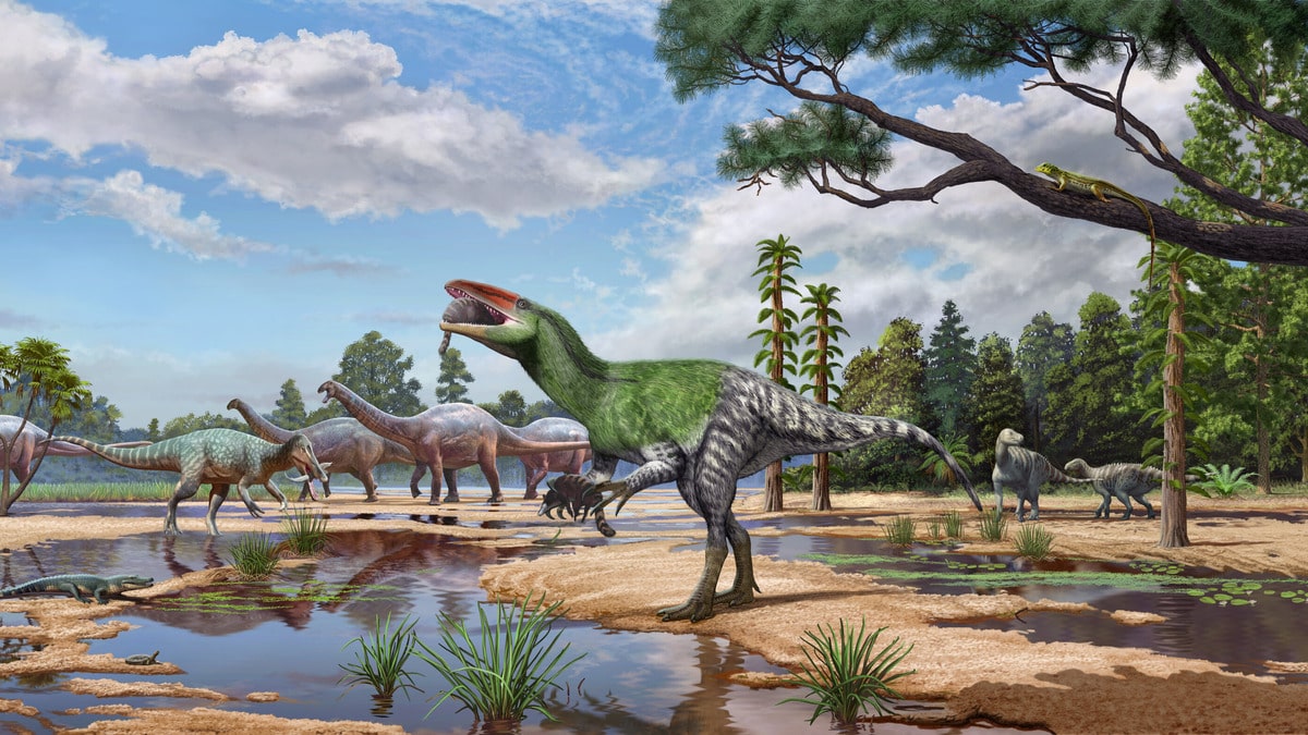 Forgotten Fossil Reveals Never Seen Before Dinosaur Species