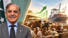 PM Shehbaz Approves Duty-Free Livestock Imports to Boost Exports