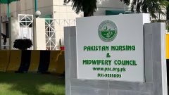 Health Minister Accuses Pakistan Nursing Council of Corruption
