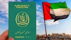 UAE Issuing 30,000 Visas to Pakistanis Every Month