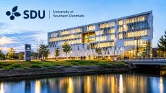 Pakistani Students Can Apply for Danish Government Scholarships 2027