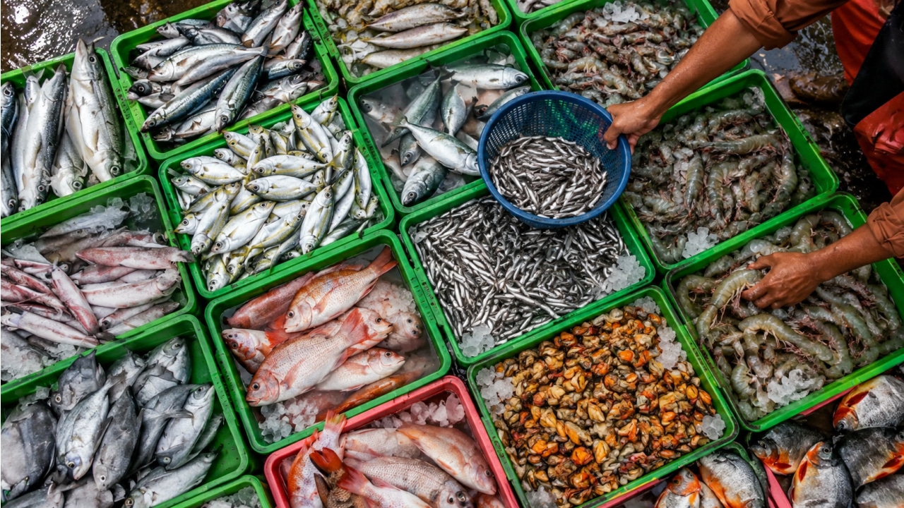 Pakistan Fish Exports Jump 75%