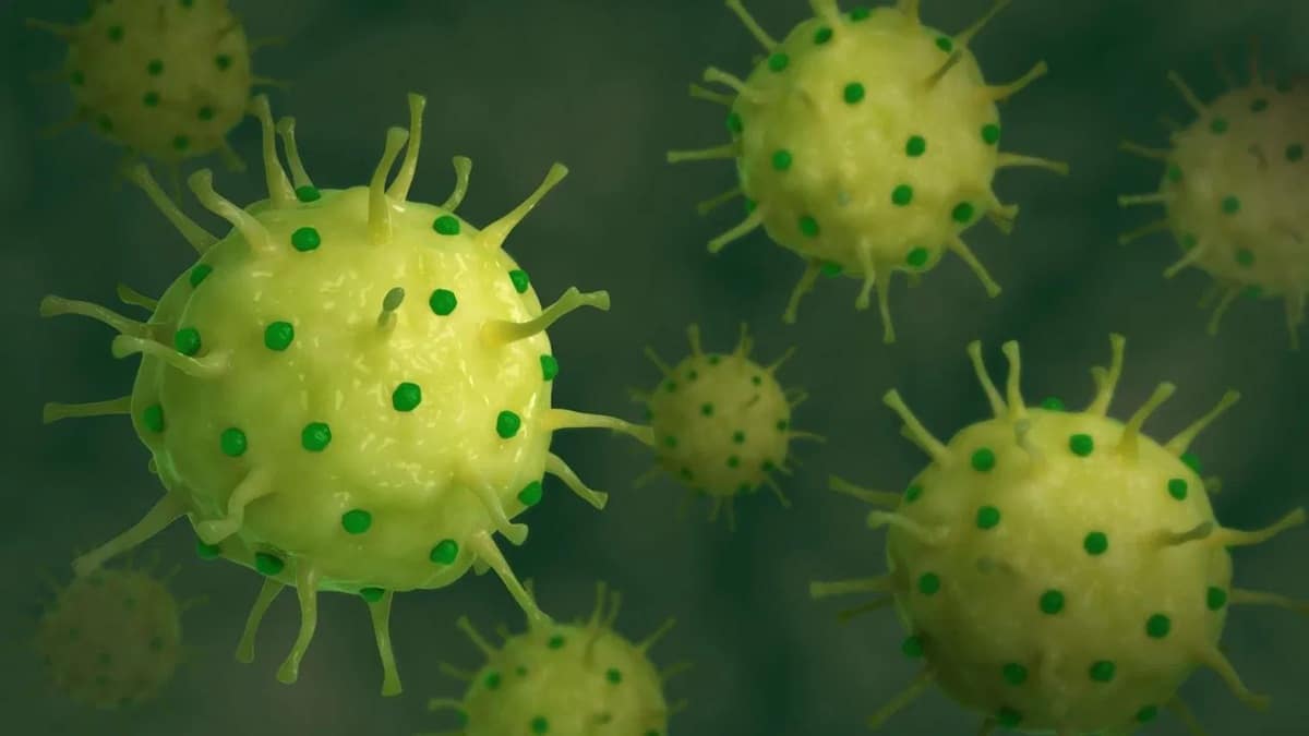 France Reports First Human Case of Shamonda Virus