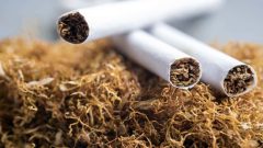 Govt Announces New Price for 2026 Tobacco Crop