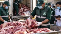 Meat From Lumpy Skin Disease-Infected Animals Seized in Lahore