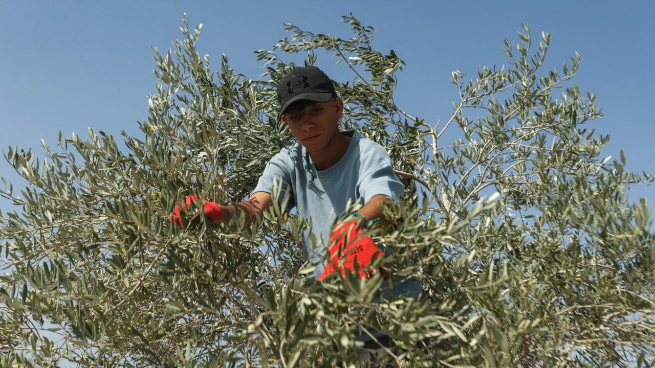 Two killed near Israeli-occupied area in south Lebanon