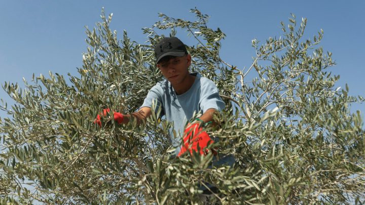 Two killed near Israeli-occupied area in south Lebanon