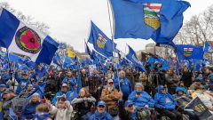 Alberta independence referendum: Will separatists survive a loss?