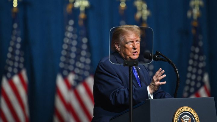 US midterms: 4 days to go – What the polls say as Trump cancels two rallies