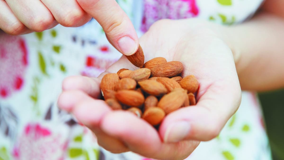 Imported Almonds Become More Expensive Ahead of Winters