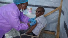 WHO announces start of Ebola vaccine clinical trial in DR Congo
