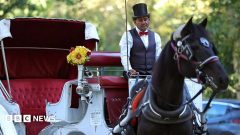 Some New Yorkers hail ban on horse-drawn carriages, but drivers fear for incomes