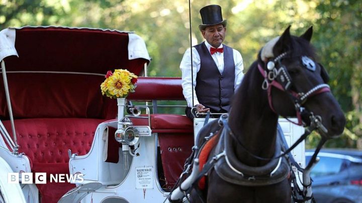 Some New Yorkers hail ban on horse-drawn carriages, but drivers fear for incomes