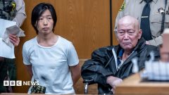 California pair charged with abusing at least 14 surrogate-born children