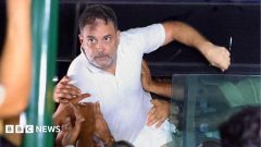 India's opposition leader dragged onto bus as police break up protest