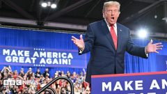 Watch: What's behind Trump's energy ceasefire claim?