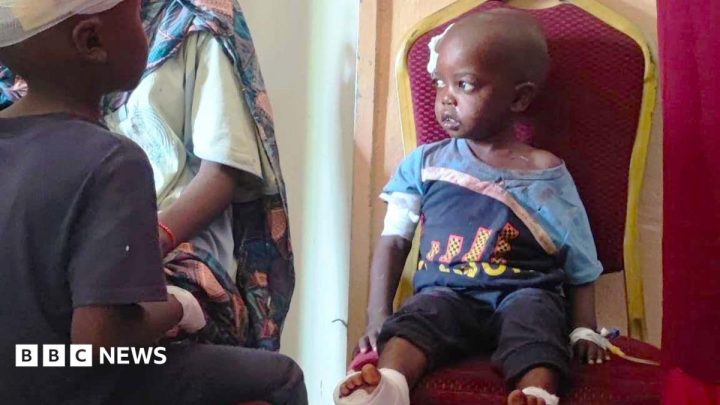 Hospitals deliberately targeted by Sudan's RSF fighters, BBC finds
