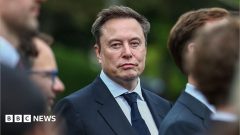 Why does Elon Musk want to merge Tesla and SpaceX?