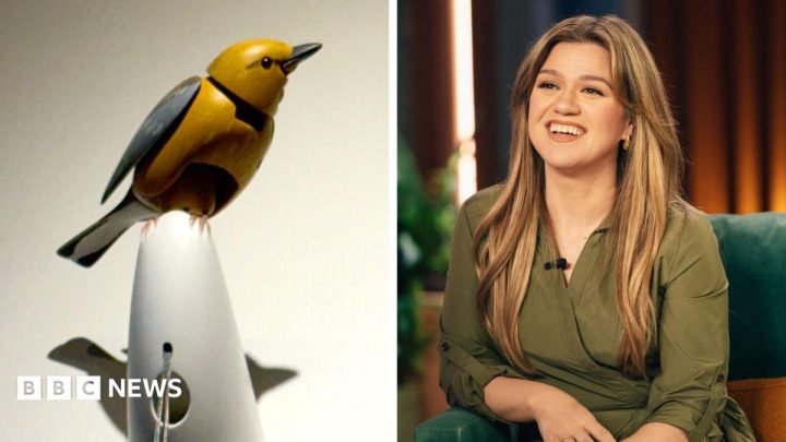 What's going on between Kelly Clarkson and a Brooklyn store bird?
