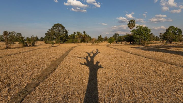 Sindh Records Pakistan’s Lowest Rainfall This Monsoon Season