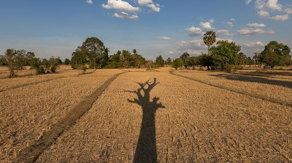 Sindh Records Pakistan’s Lowest Rainfall This Monsoon Season