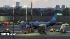 Flydubai co-pilot planned to crash plane into Tel Aviv airport or building, reports say