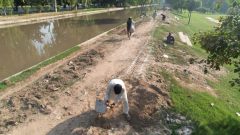 Faisalabad to Get Walk Track Along Canal