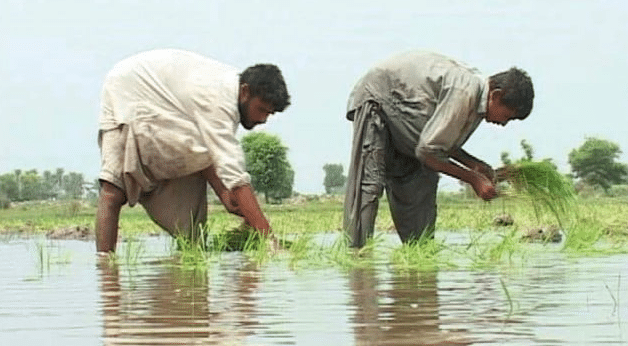 Agriculture Financing Crosses Rs. 1.3 Trillion