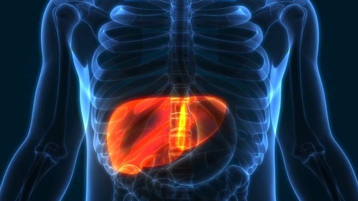 Scientists Discover 31 New Genetic Regions Linked to Fatty Liver Disease