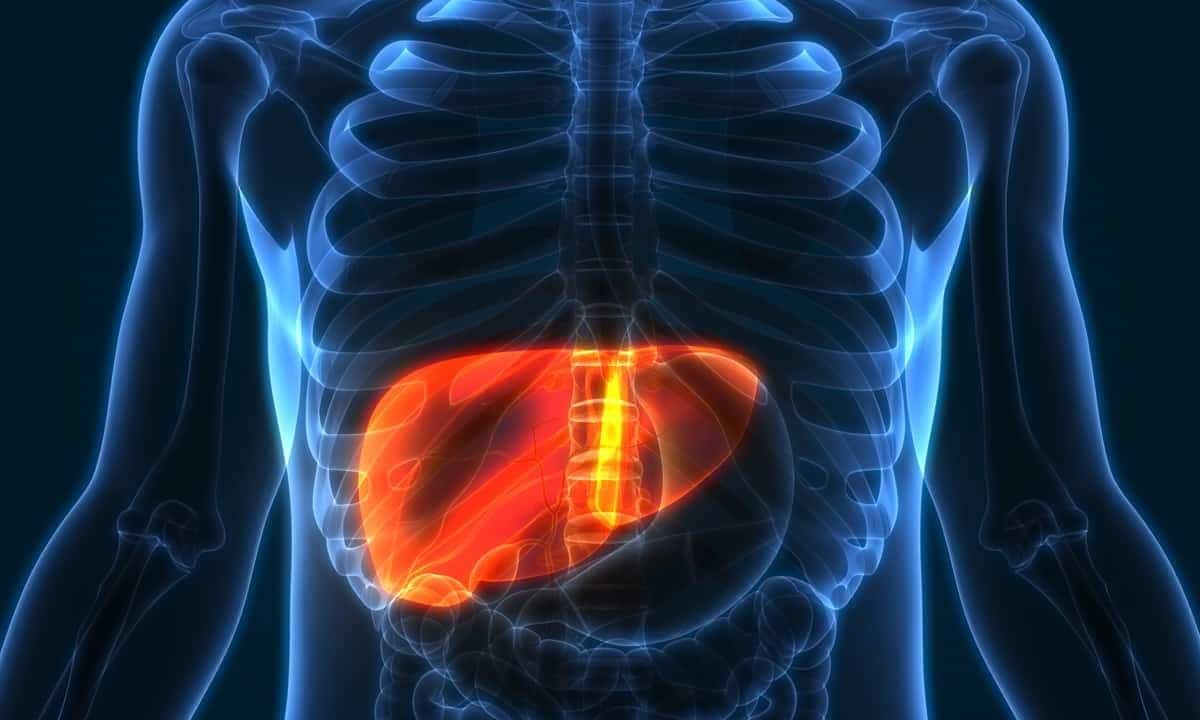 Scientists Discover 31 New Genetic Regions Linked to Fatty Liver Disease